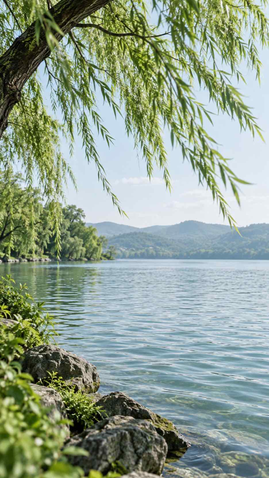 Cool Breeze by the Lake